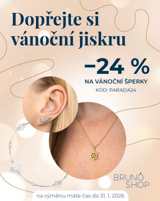 Vánoční šperky 🎄 Právě teď je ten nejvyšší čas nakoupit šperky s vánoční tematikou a být připraveni na všechny sváteční...